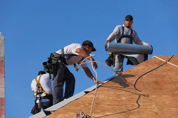 Roof Gutter Cleaning in Avon, IN